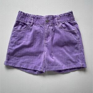 LANDS END Lavender Purple Retro Surf Shorts / Sz XL 14-16 / Herringbone Cotton